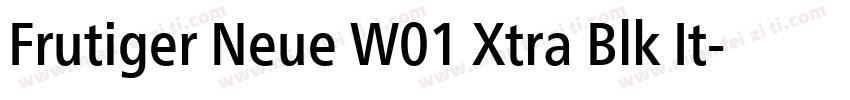Frutiger Neue W01 Xtra Blk It字体转换